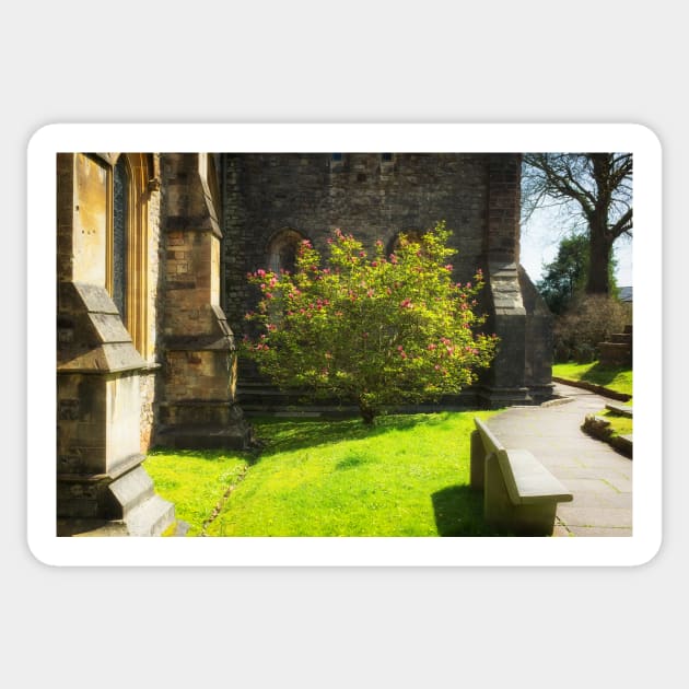 Springtime in Llandaff Sticker by RJDowns